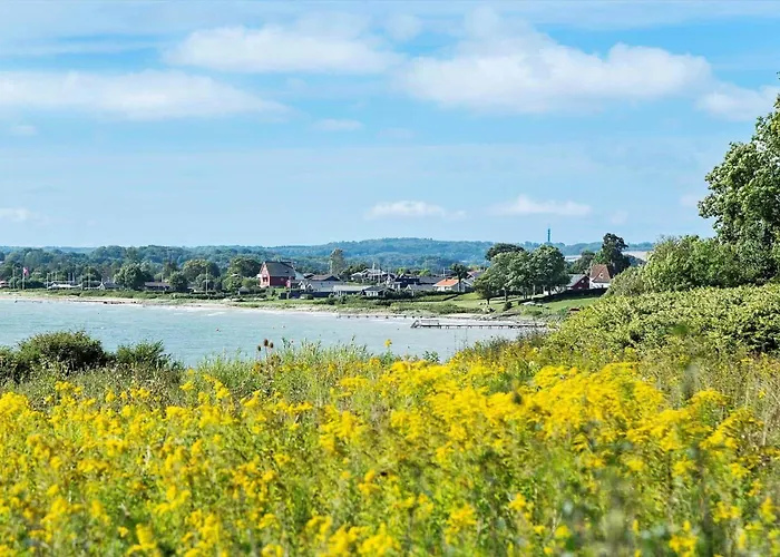 別荘 40367-juelsminde-alykke-3 *